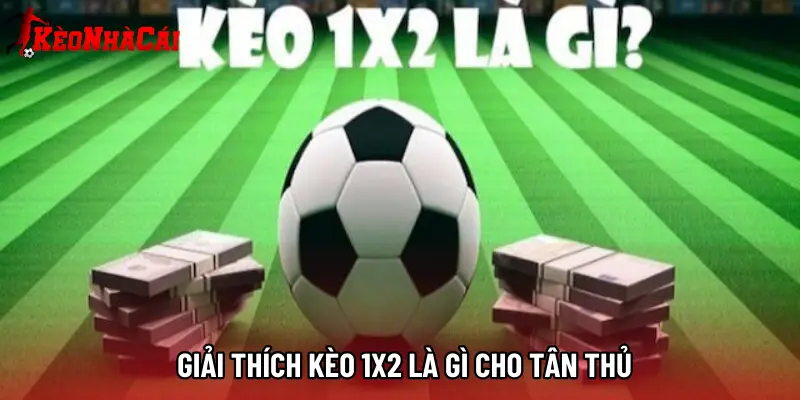 Giải thích kèo 1X2 là gì cho tân thủ