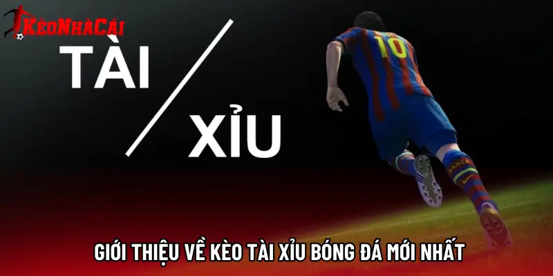 Giới thiệu về kèo tài xỉu bóng đá mới nhất