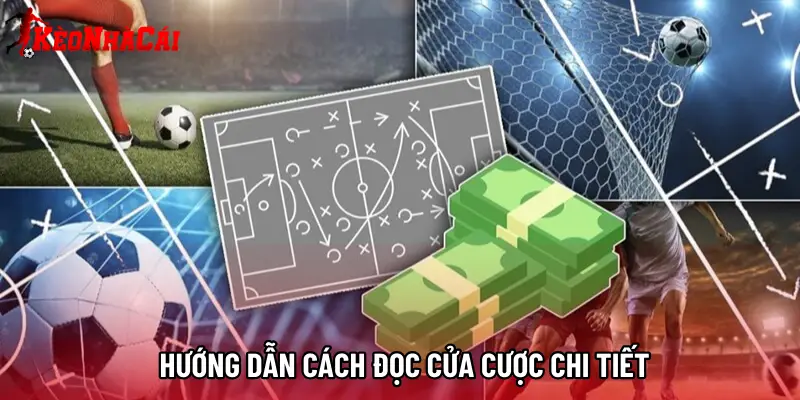 Hướng dẫn cách đọc cửa cược chi tiết