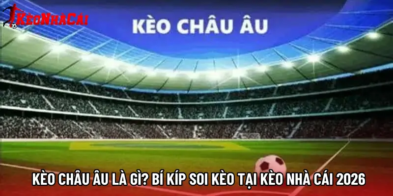Kèo Châu Âu Là Gì? Bí Kíp Soi Kèo Tại Kèo Nhà Cái 2026