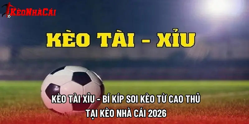 Kèo Tài Xỉu - Bí Kíp Soi Kèo Từ Cao Thủ Tại Kèo Nhà Cái 2026