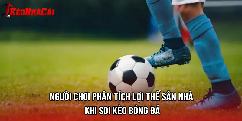 Người chơi phân tích lợi thế sân nhà khi soi kèo bóng đá