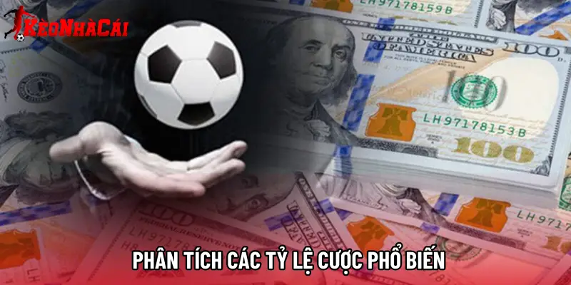 Phân tích các tỷ lệ cược phổ biến