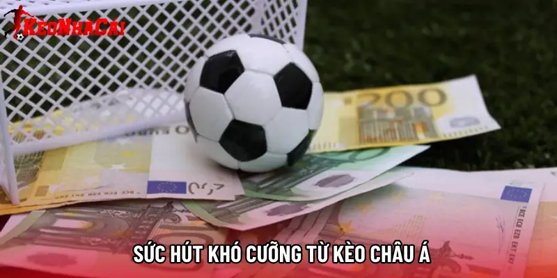 Sức hút khó cưỡng từ kèo châu Á