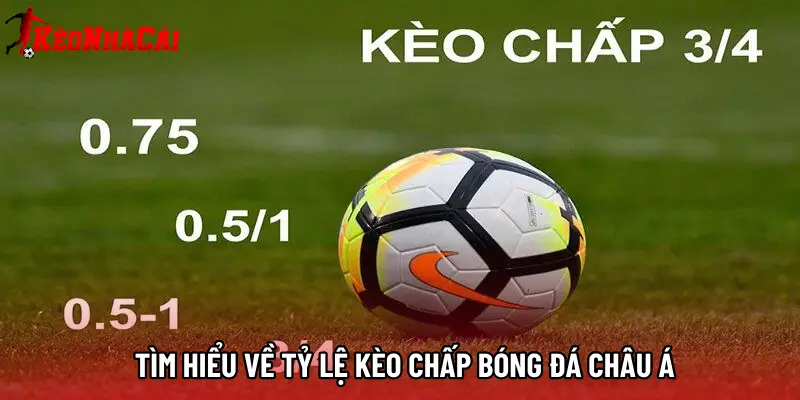 Tìm hiểu về tỷ lệ kèo chấp bóng đá châu á