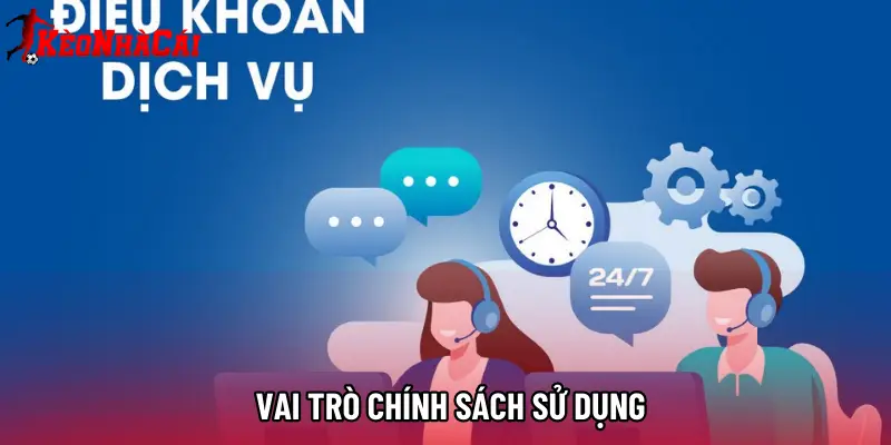 Vai trò chính sách sử dụng